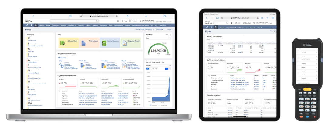 NetSuite SuiteSuccess Financials - Role-Based Home Dashboard