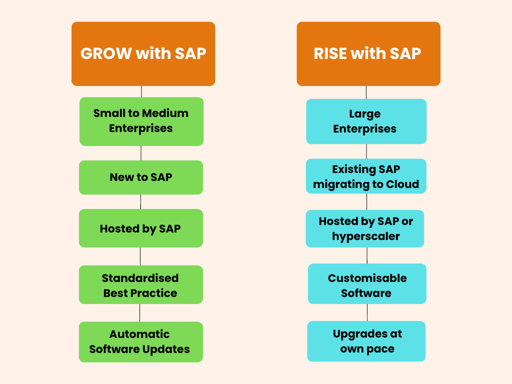 SAP GROW và SAP RISE là gì?