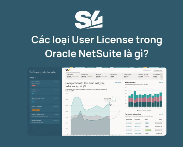 Các loại User License trong Oracle NetSuite