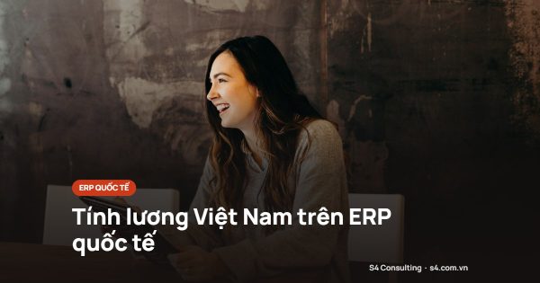 Tính lương Việt Nam trên ERP quốc tế
